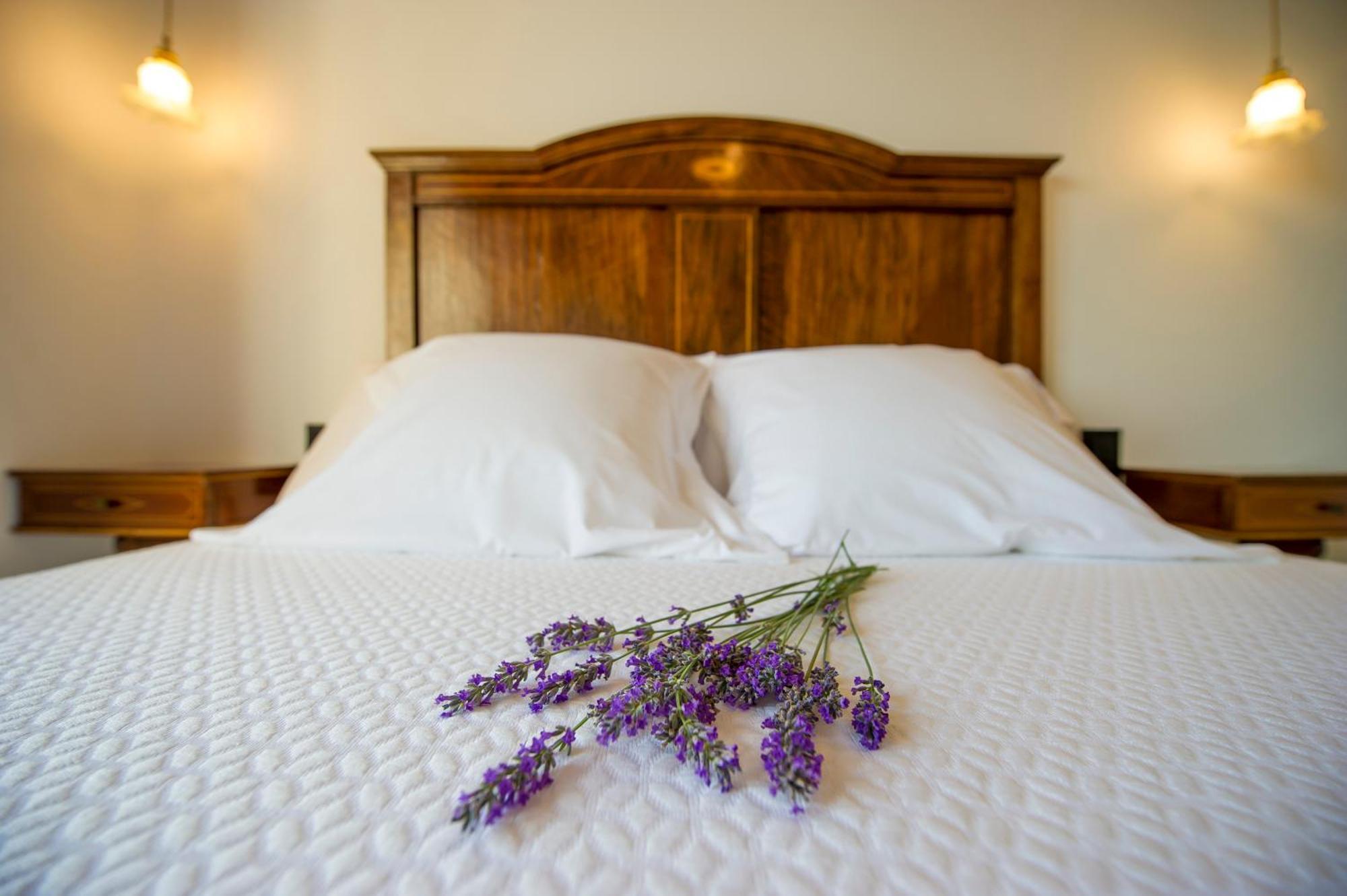 Bed and Breakfast Bolet Casa Modernista Castellvi de la Marca Exterior foto